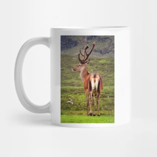 Scottish Deer Mug